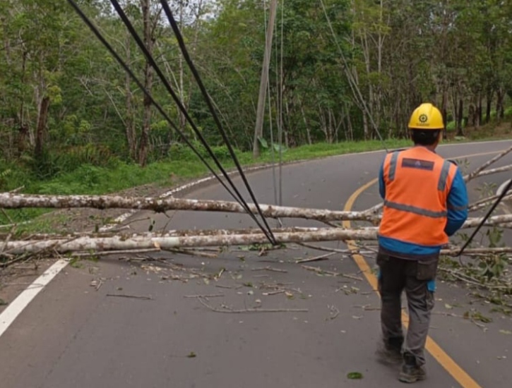 Badai, Pohon Karet di Batiknau Melintang ke Jalan