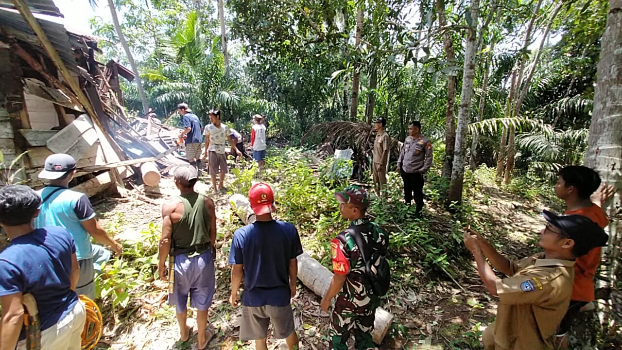 27 Rumah Warga di Air Simpang Dihantam Angin Puting Beliung, Satu Rumah Tertimpa Pohon