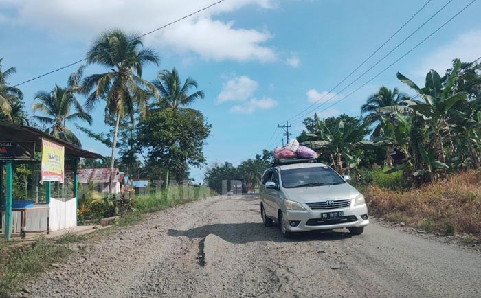 Bakal Caleg Mulai Tebar Pesona, Sebar Spanduk dan Baliho