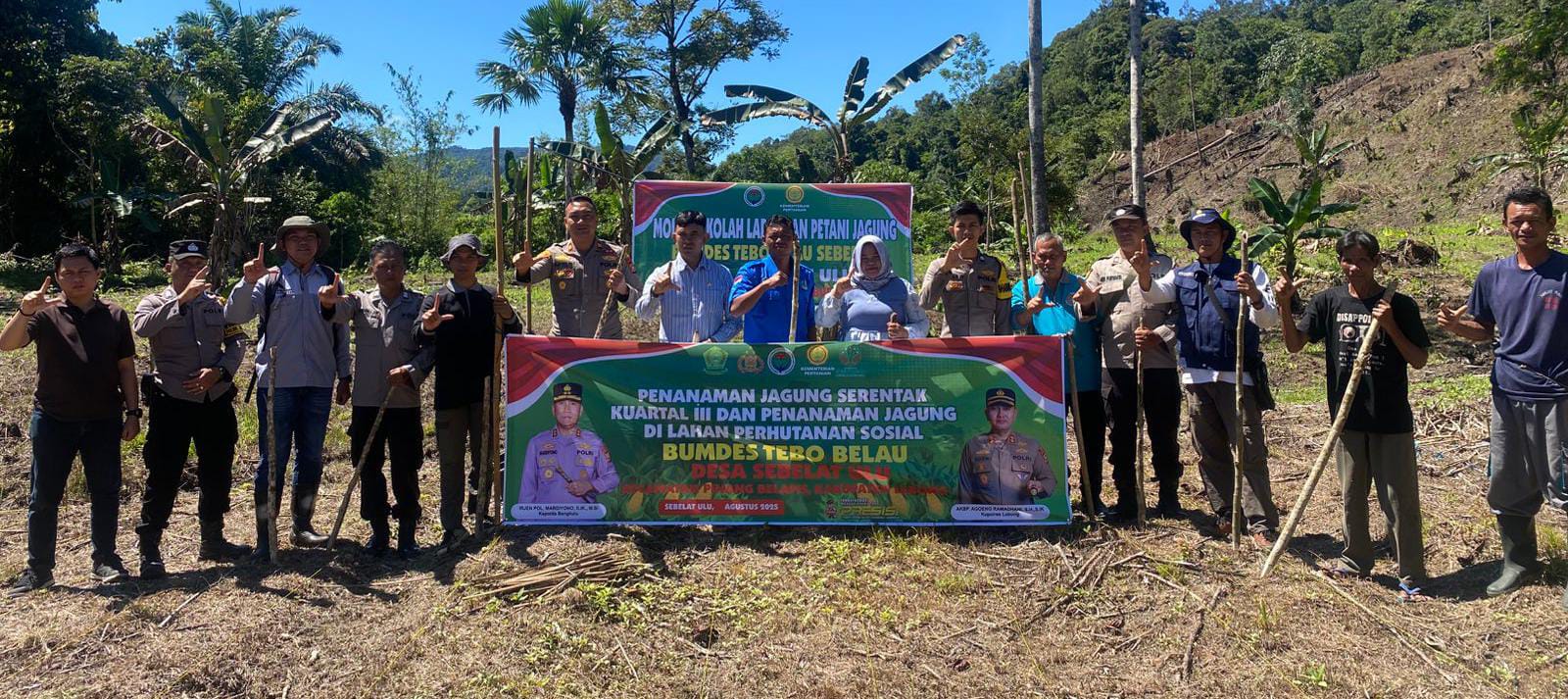 Dukung Program Ketahanan Pangan, BUMDes Tebo Blau Tanam Jagung Serentak