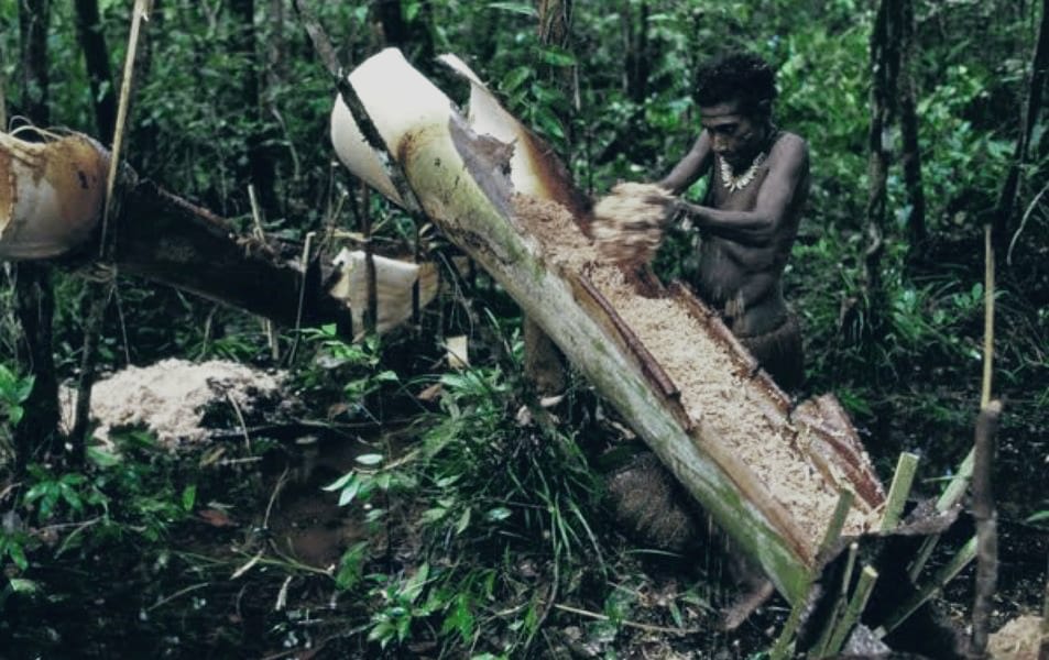 5 Suku Terkejam di Dunia yang Masih Hidup Hingga Saat ini, Ternyata di Indonesia Juga Ada