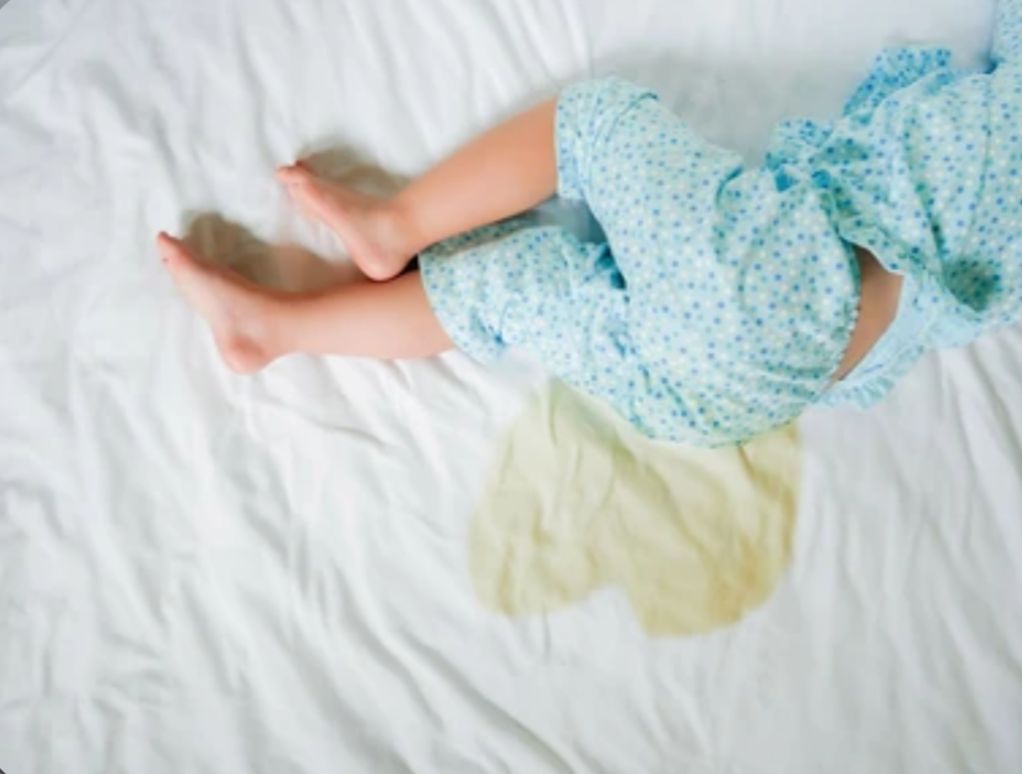 6 Cara Mudah Agar Anak Tak Ngompol dan Paham Toilet Training