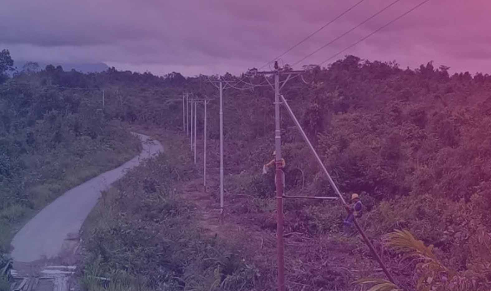 Jaringan Listrik Gunakan Dana Desa di Tanjung Kemenyan Masih Mangkrak