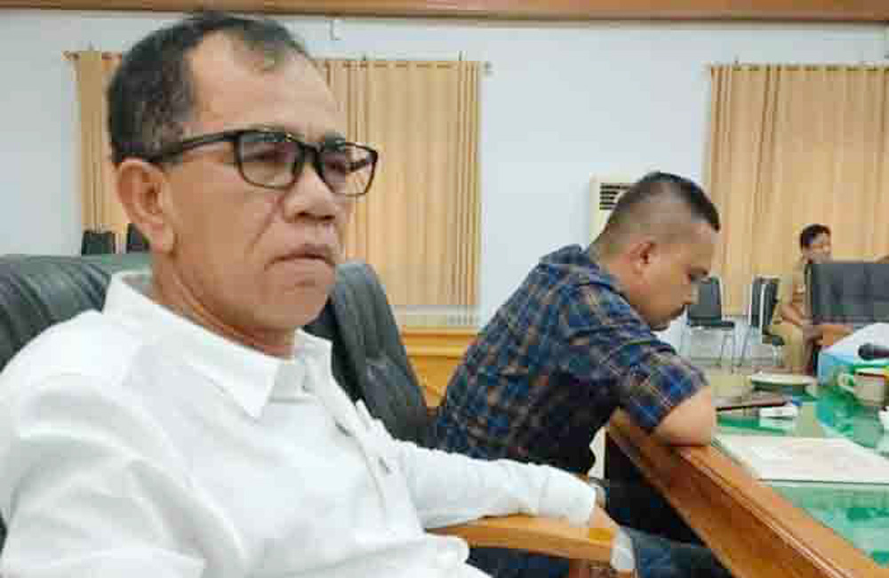 Lambatnya Serapan APBD Disorot, Rizal Sitorus: Jangan Sampai Jadi Catatan Pusat! 