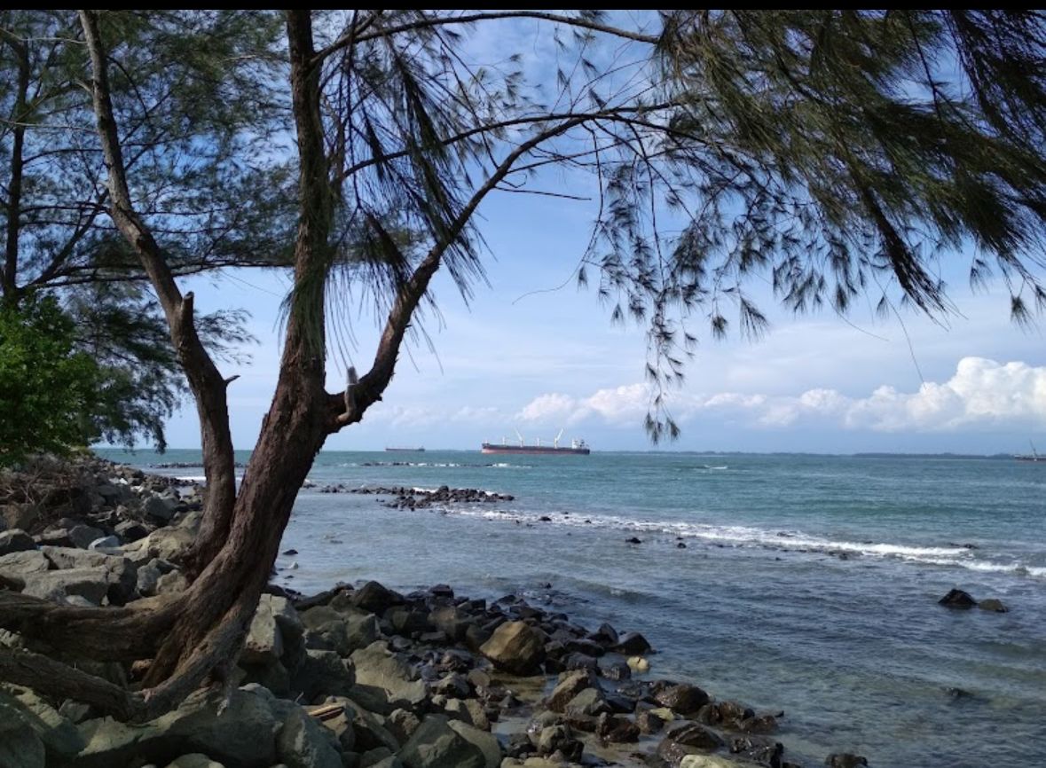 Menyambut Weekend Seru di Lentera Hijau Bengkulu, Mulai dari Memancing Hingga Melihat Sunset