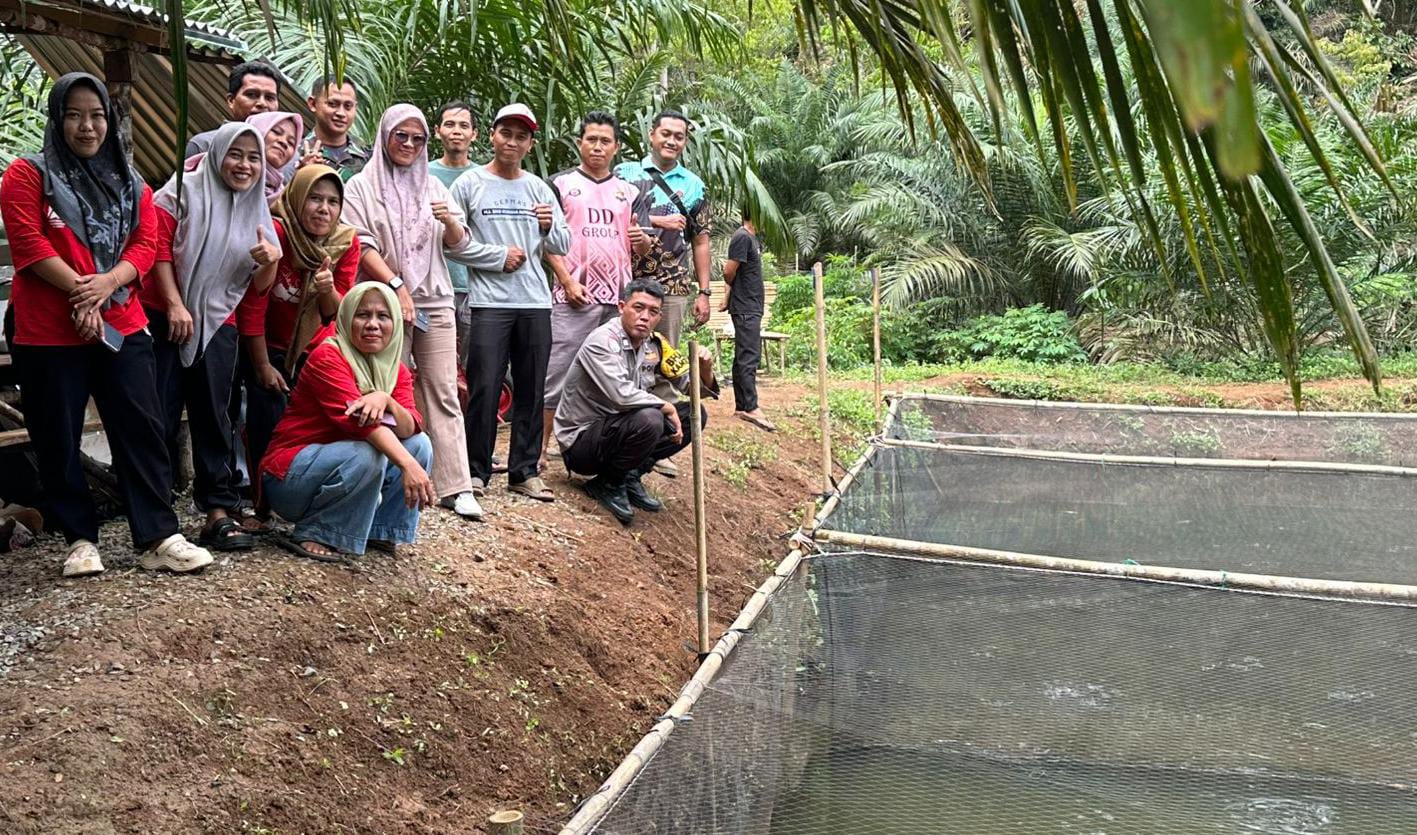 Pemdes Kalbang Wujudkan Ketahanan Pangan dengan Budidaya Ikan Lele