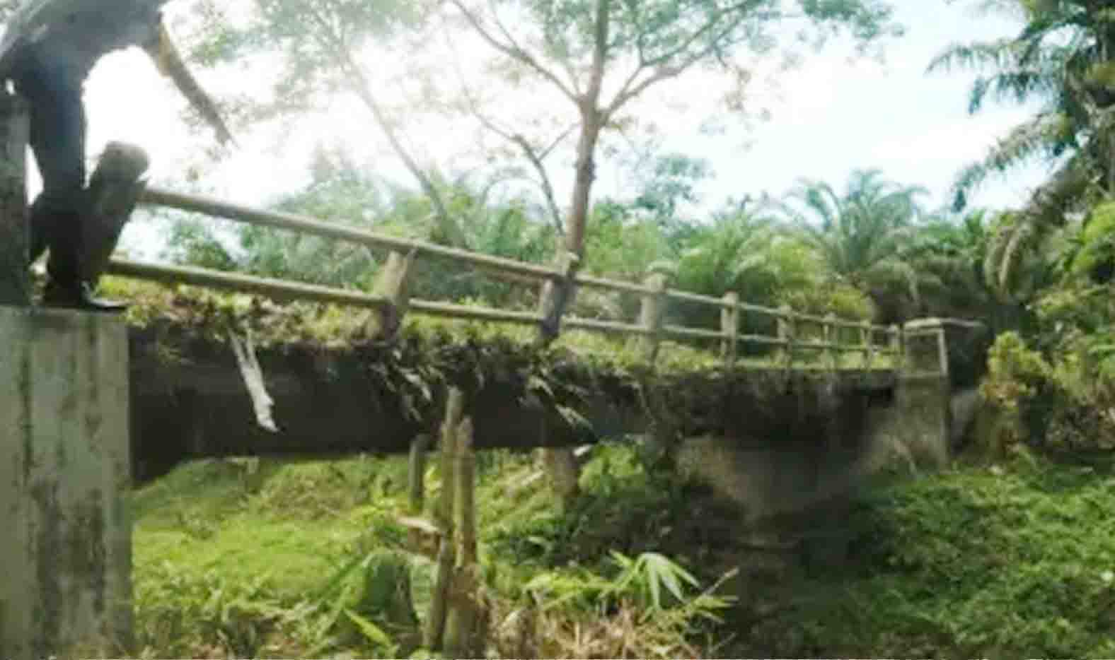 Jembatan Air Mumbang Sudah Diusulkan ke Pemprov, Camat: Harapan Kita Tahun Depan Dibangun