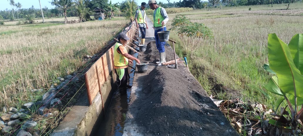 Progres Pekerjaan Kontruksi Peningkatan Jaringan Irigasi Kiri D.I Alas Kabupaten Seluma Terus Berlanjut