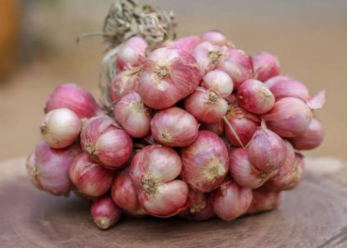 10 Tips Ampuh Cara Mengupas Bawang Tanpa Pake Drama Menangis