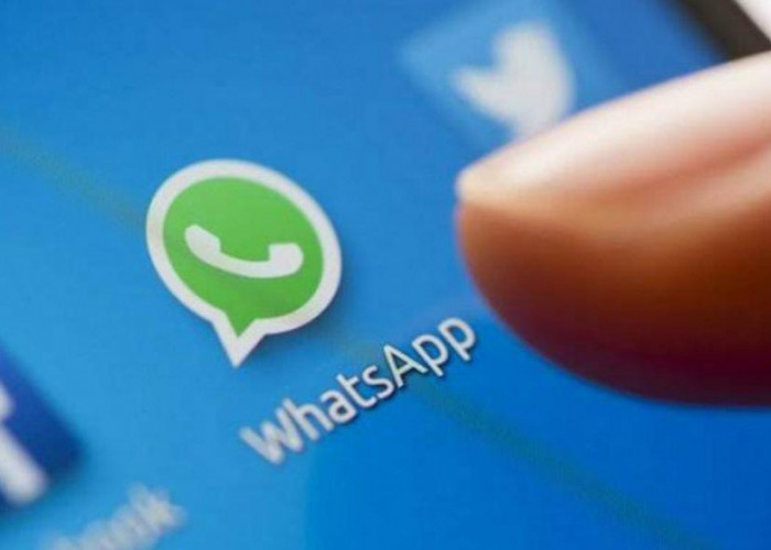 Peningkatan Fitur Polling WhatsApp, Kini Mampu Menambahkan Gambar