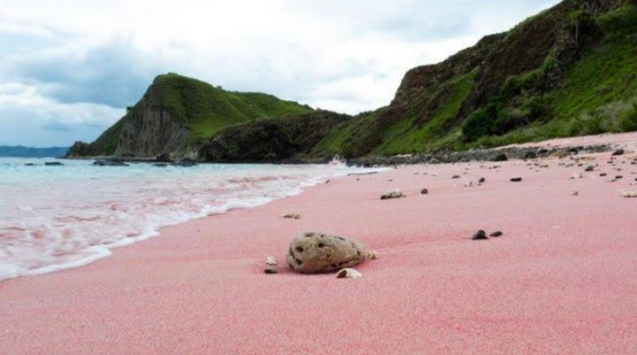 Dekat dari Jakarta, Mengunjungi Pantai Pasir Pink, Rekomendasi Healing di Akhir Tahun! 