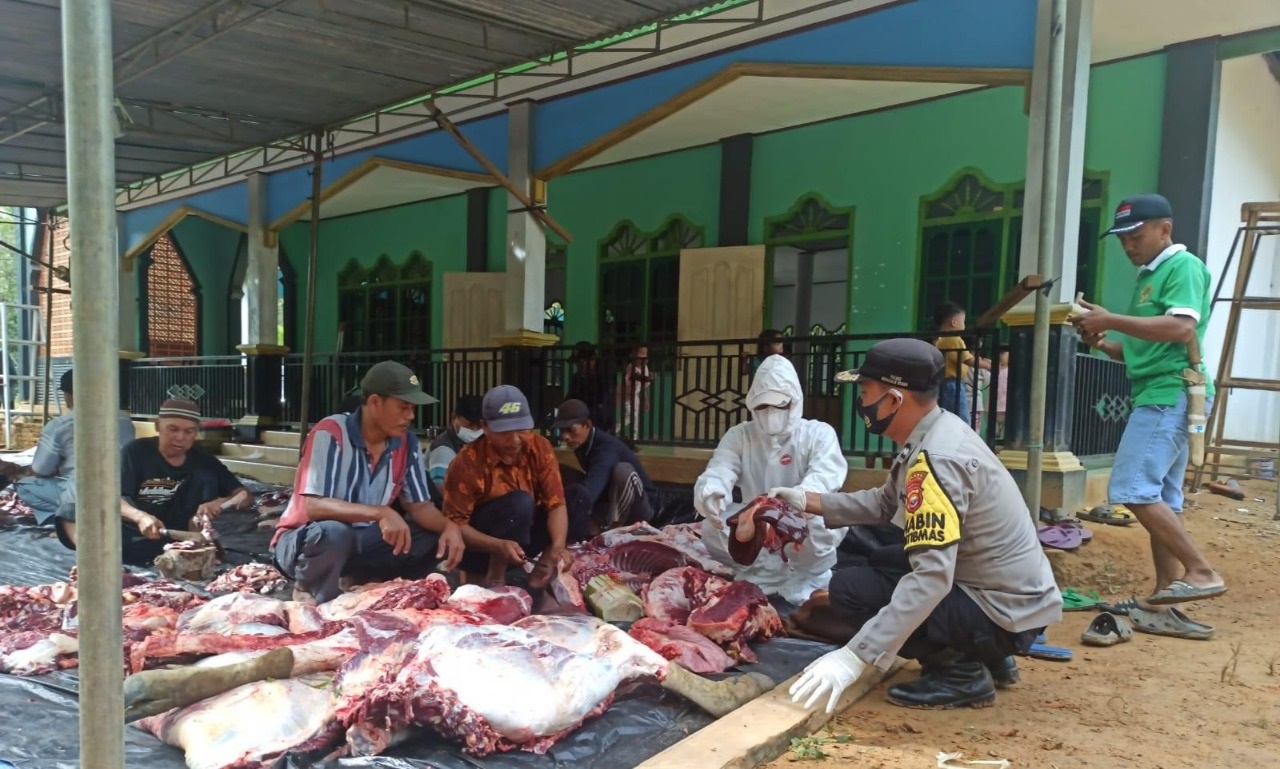 Jika Bergejala PMK, Rebus Daging Kurban 30 Menit