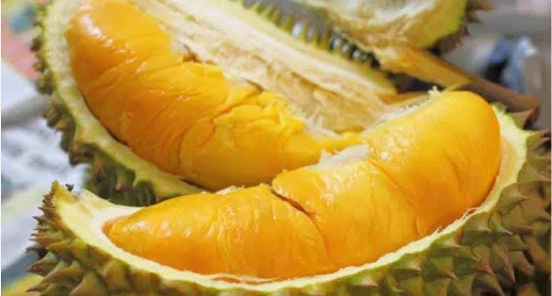 Ini 2 Daerah Penghasil Durian Terbanyak di Kabupaten Bengkulu Utara, Wajib Datangi