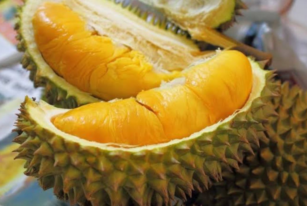 5 Durian Termahal di Dunia, Harganya sampai Rp681 juta!