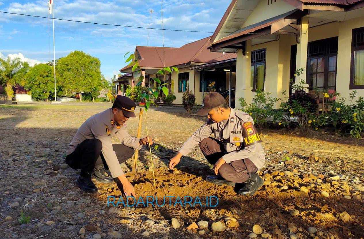 Kurangi Pemanasan Global, Polsek Padang Jaya Tanam Pohon Gaharu