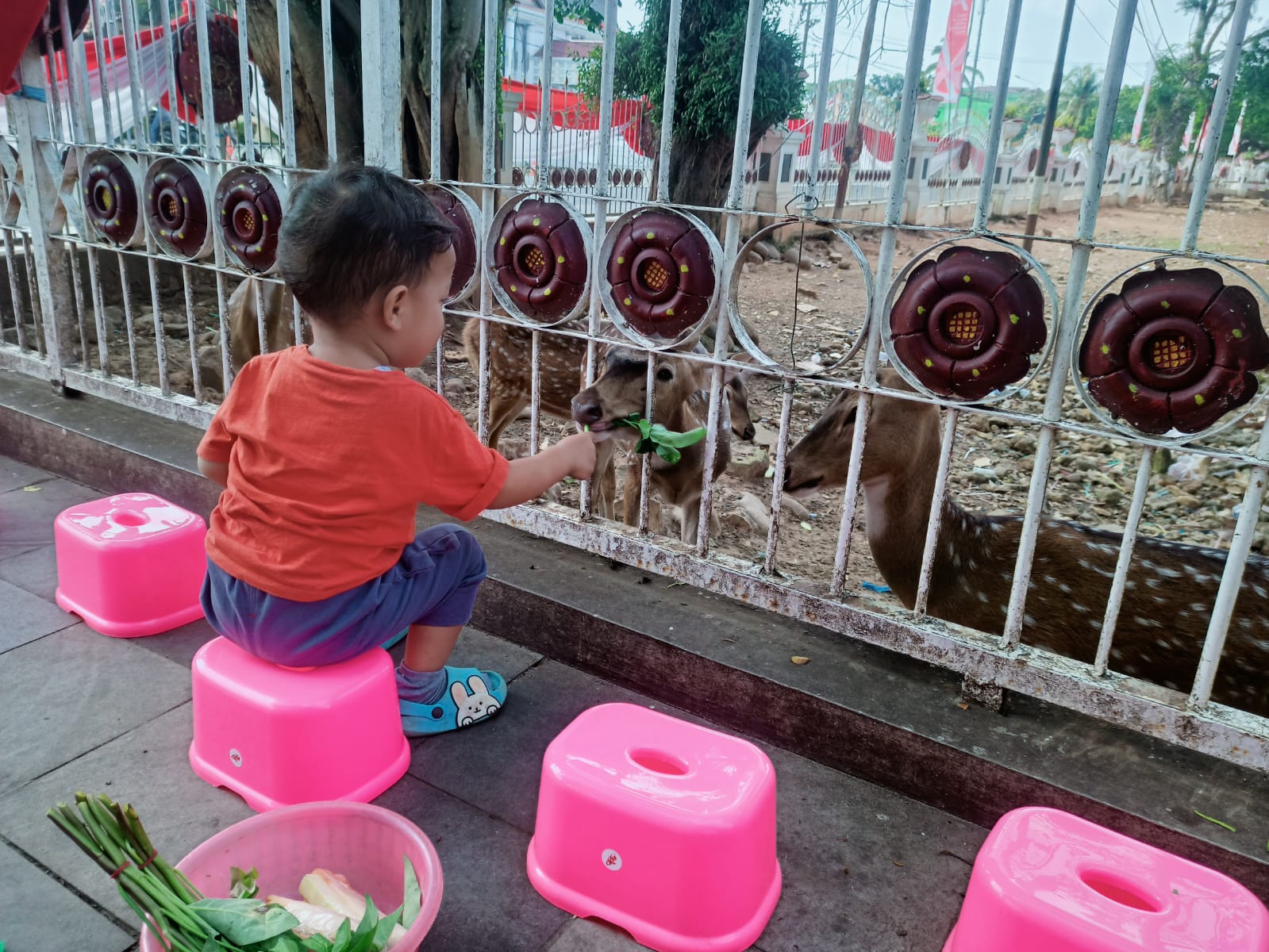 Anak Pasti Happy, Suapi Rusa Makan di Rumah Dinas Gubernur Bengkulu