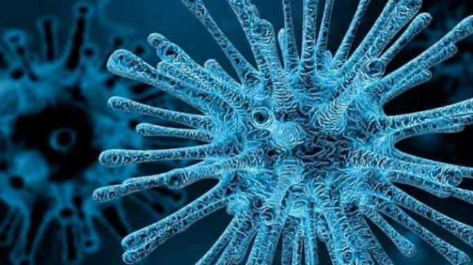 Virus HMPV Jadi Ancaman Kesehatan yang Bisa Menyerang Diam-diam 