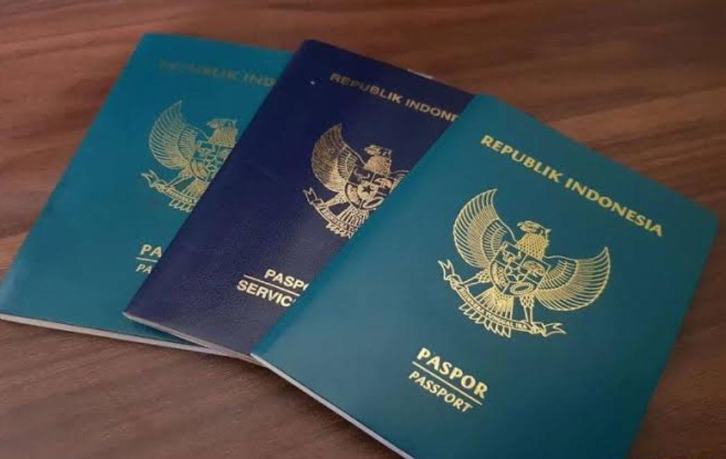 Ada 3 Warna Paspor di Indonesia, Berikut Jenis dan Fungsinya