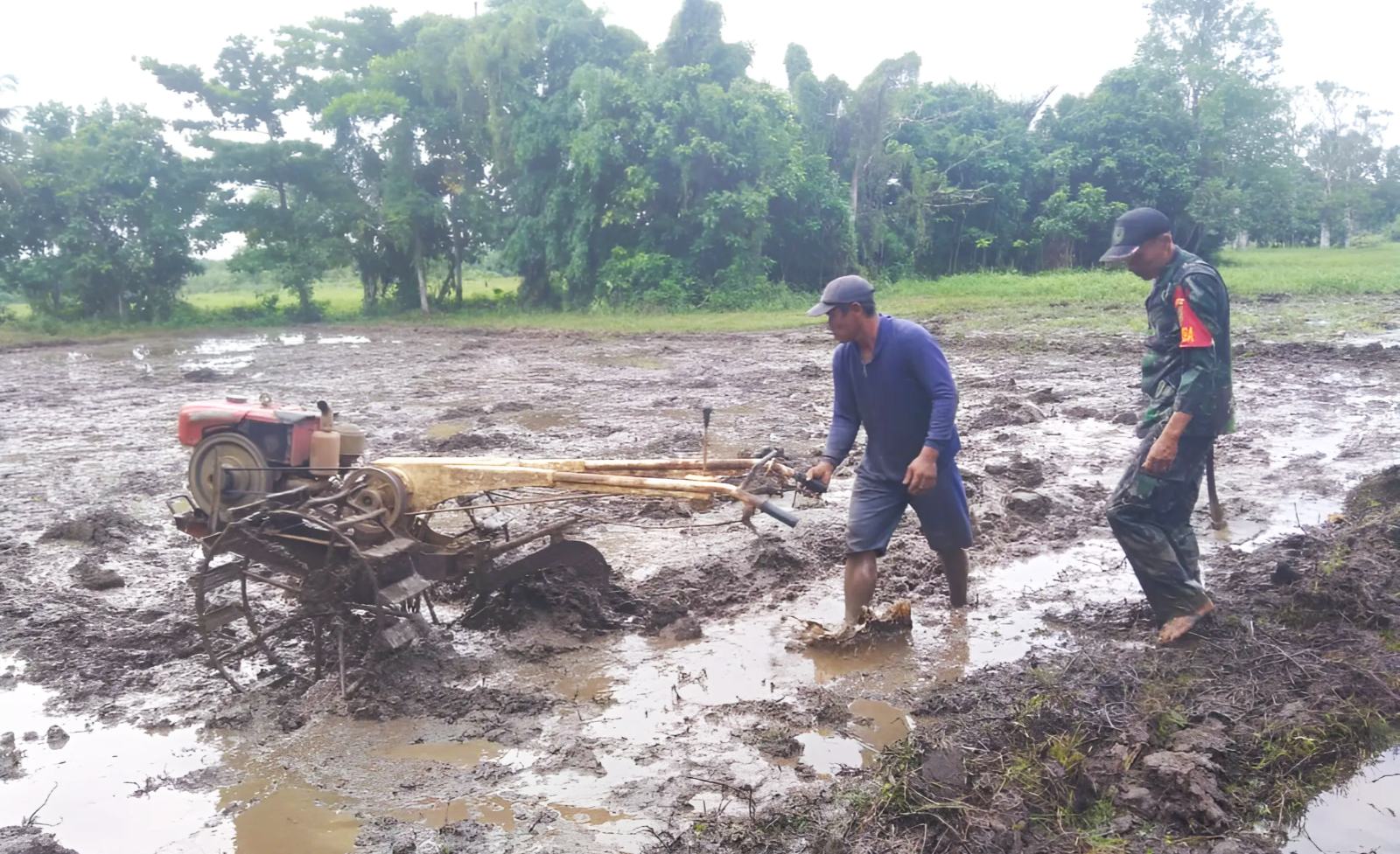 Perkuat Ketahanan Pangan, Korem 041/Gamas Siapkan 1.075 Hektar Lahan Sawah di Enggano 