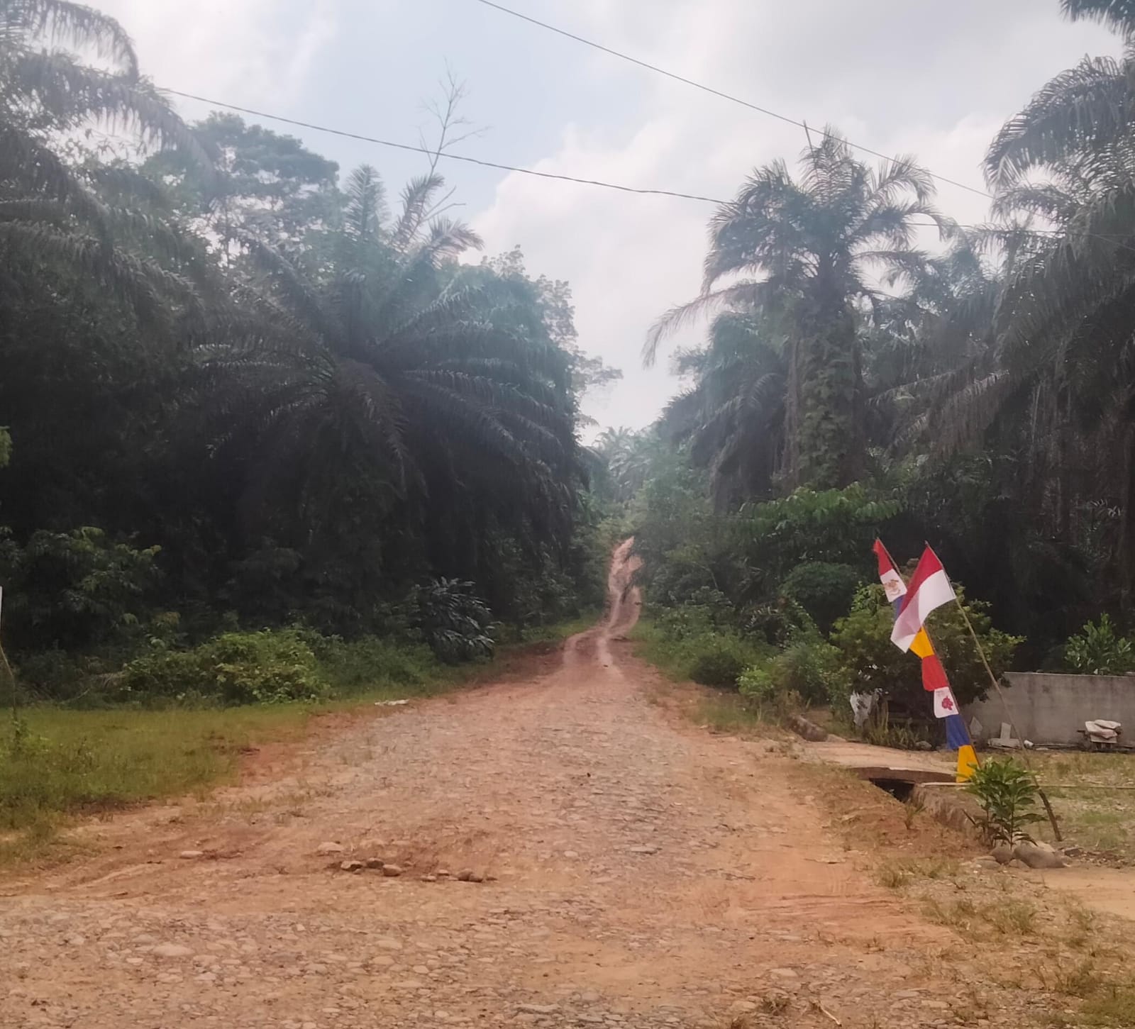 4,5 Km Jalan Eks TMMD Penghubung Marga Bakti-Sumber Mulya Masih Jadi PR Pemkab Bengkulu Utara
