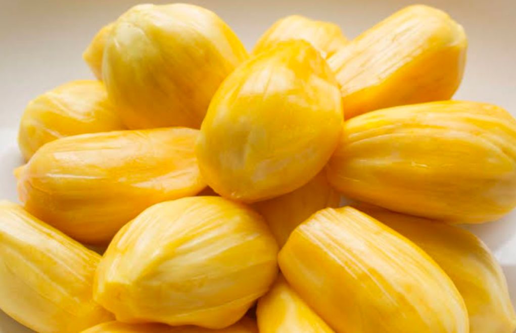 5 Fakta Menarik Nangka, Buah dengan Ratusan Biji