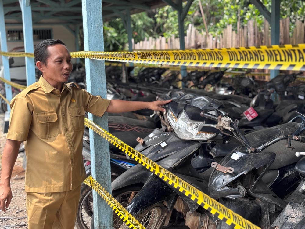 Ratusan Kendis Masuk Daftar, Begini Cara Ikut Lelang di Bengkulu Utara