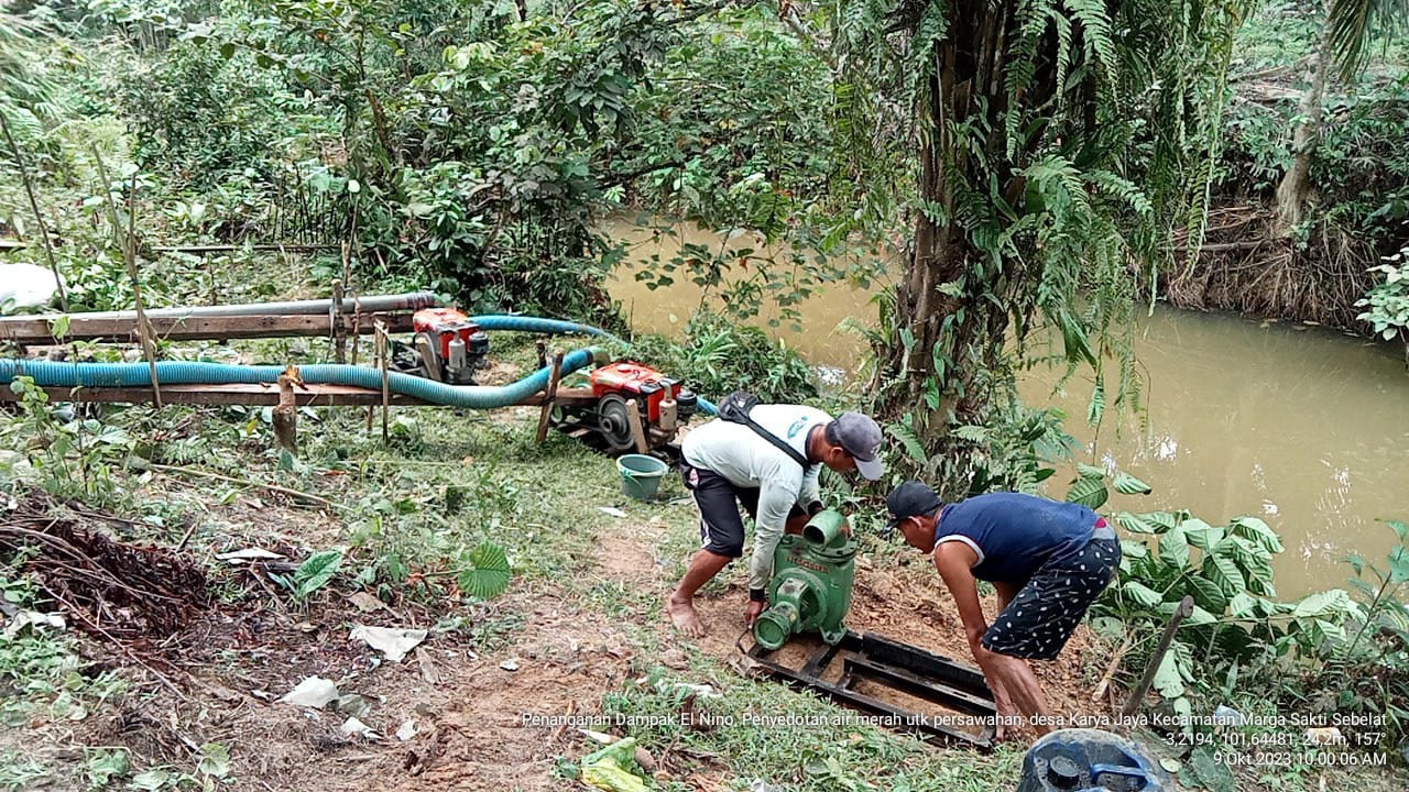 Petani di Karya Jaya Tambah Mesin Pompa Air untuk Selamatkan Ratusan Hektar Tanaman Padi dari Kekeringan