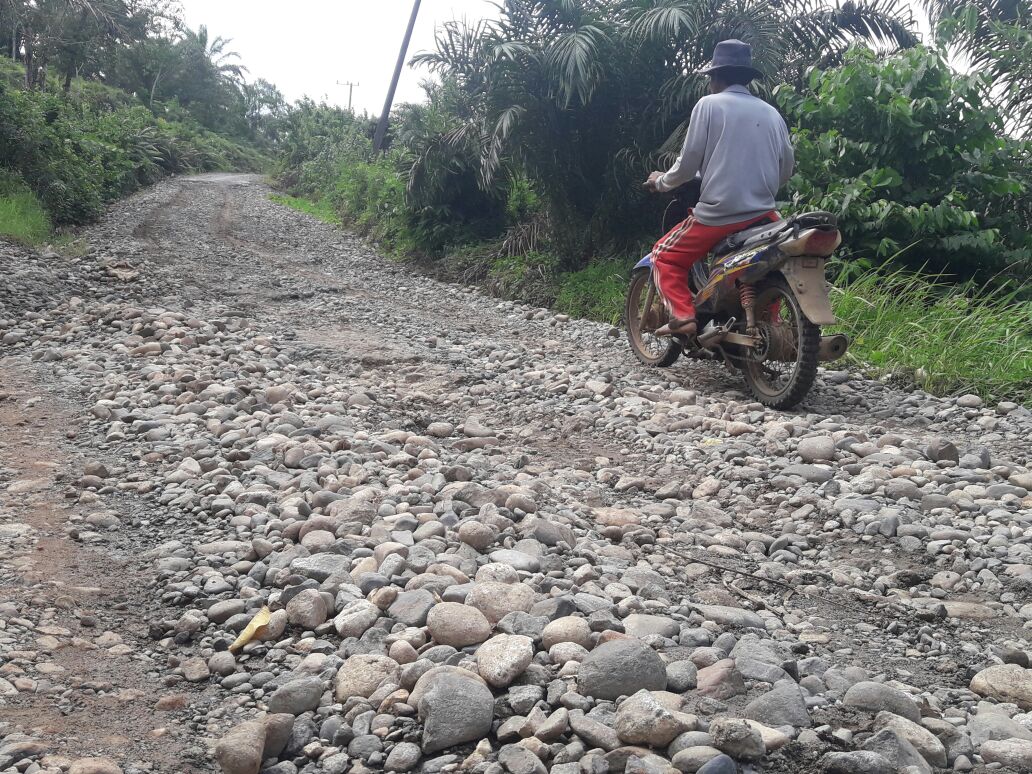 Warga Lubuk Mindai Tagih Janji Perbaikan Jembatan