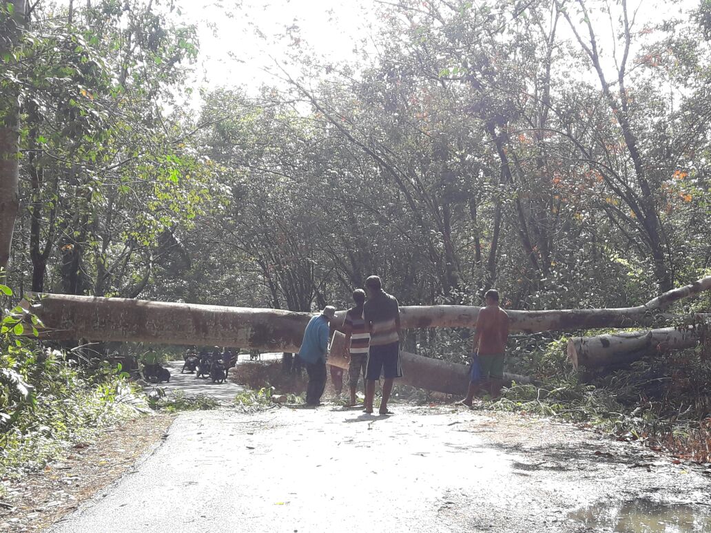 Jalur Karang Pulau Mulai Disisipi Tiang Listrik