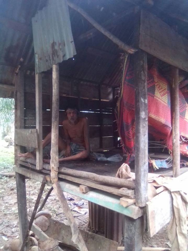 Tinggal Digubuk, Saprudin Makan Dedaunan