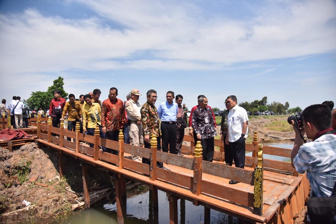 KTM Cahaya Baru Kembangkan Prukades Padi Tanah Rawa