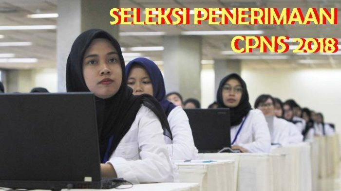 Pendaftar CPNS Minimal D4 & IPK 2,7