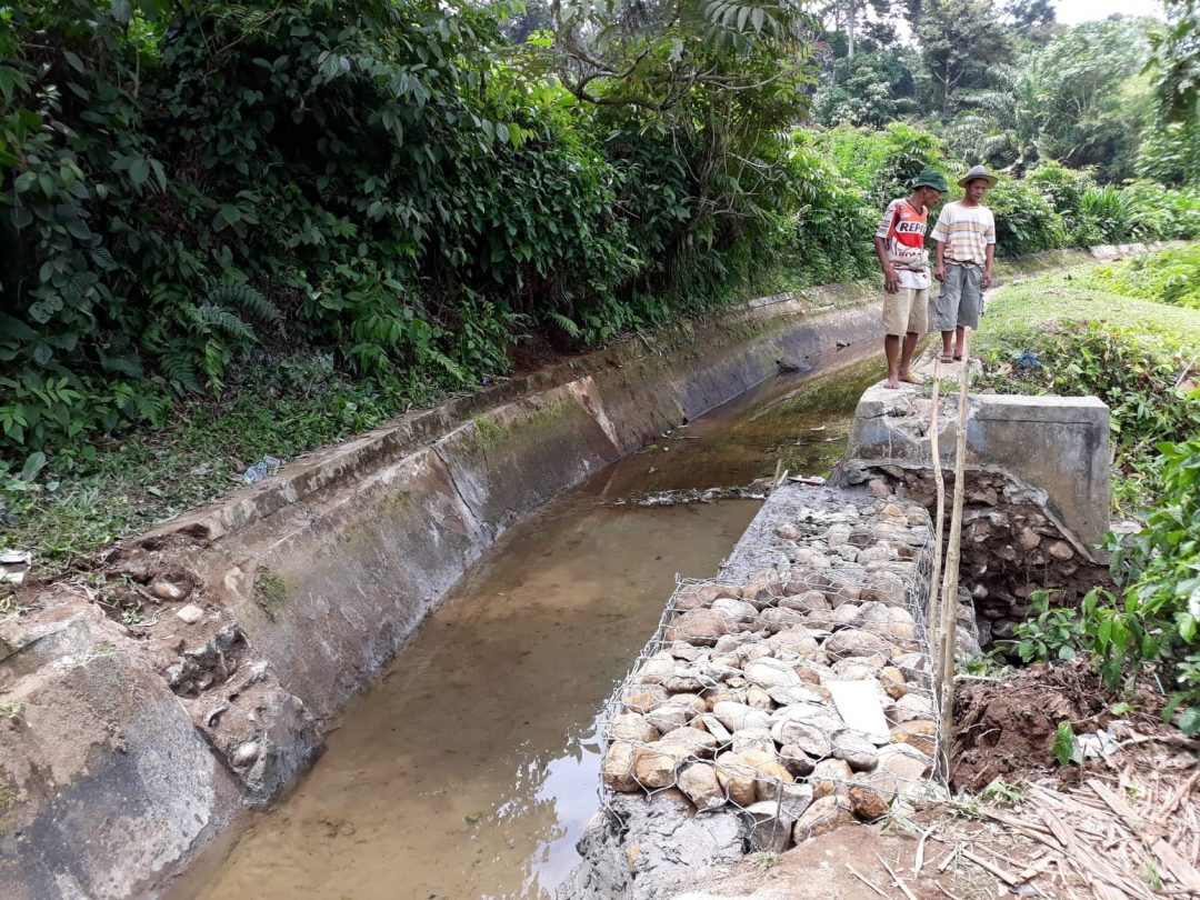 Irigasi Tak Kunjung Diperbaiki, Warga Gelar Swadaya