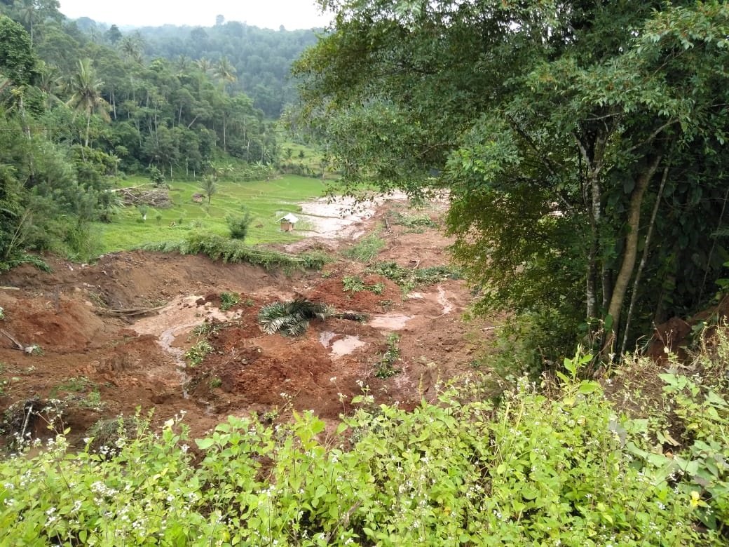 Tertimbun Longsor, Sawah Petani Terancam Gagal Panen