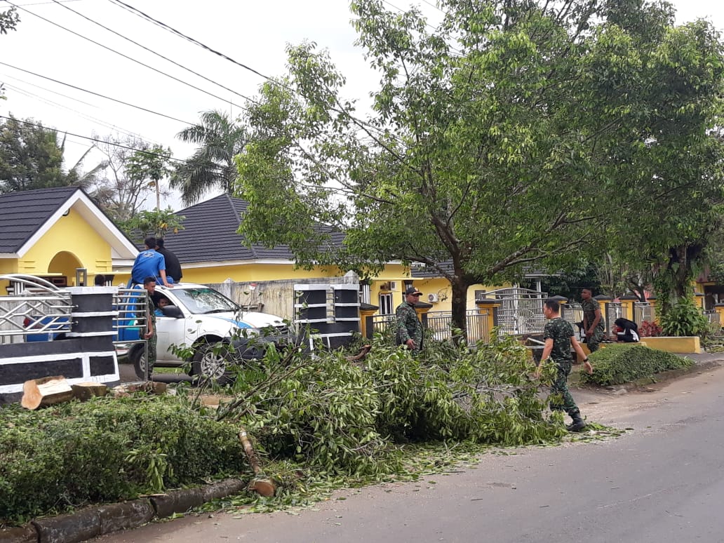 Tim PLN Pangkas Pohon