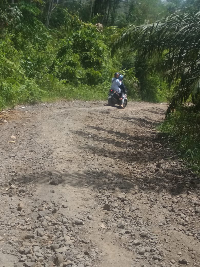 Manganyau Harapkan Realisasi Pembangunan Jalan