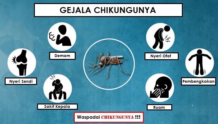 Waspada Chikungunya, Warga Diminta Siaga