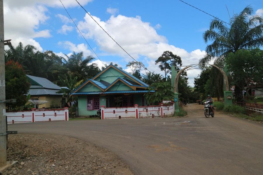 Tahun Ini, Jalan ke PLG Disiram Koral