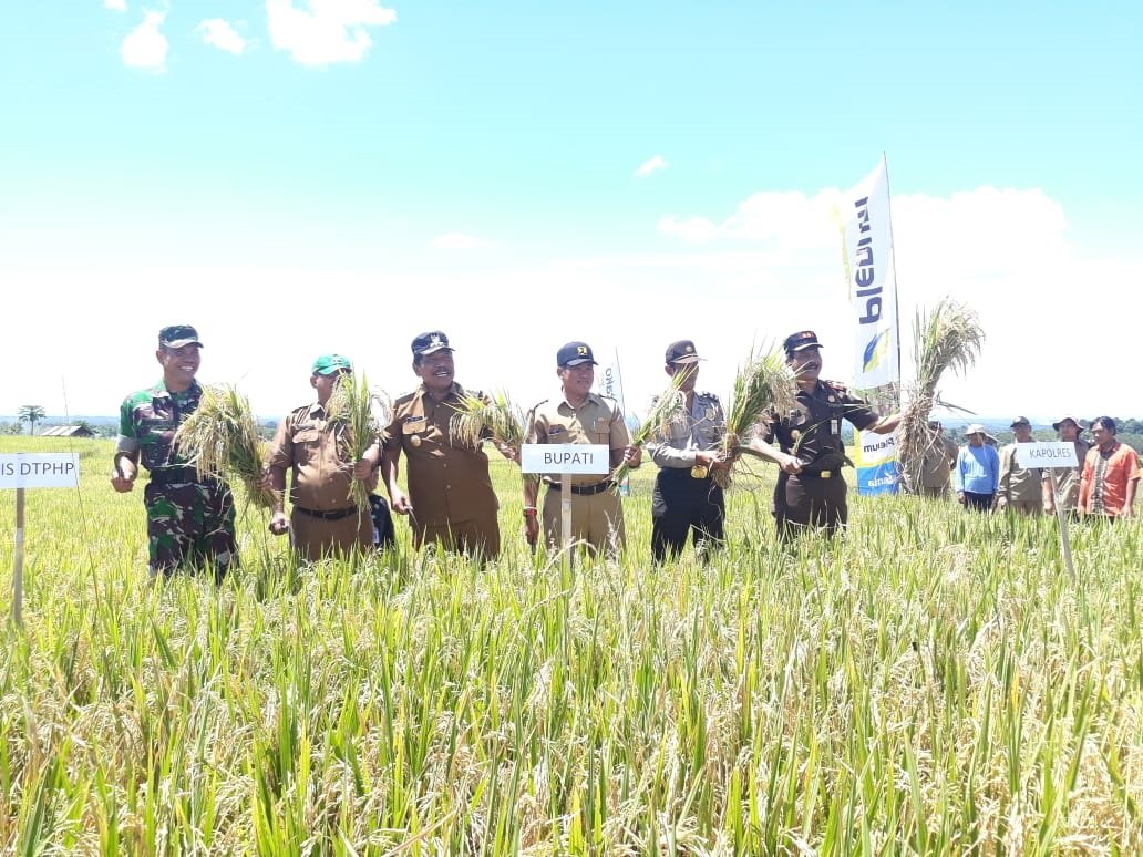 Bupati Jadikan Kemumu Objek Agro Wisata