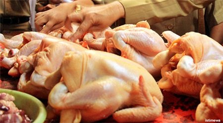 Harga Ayam Potong Turun Drastis