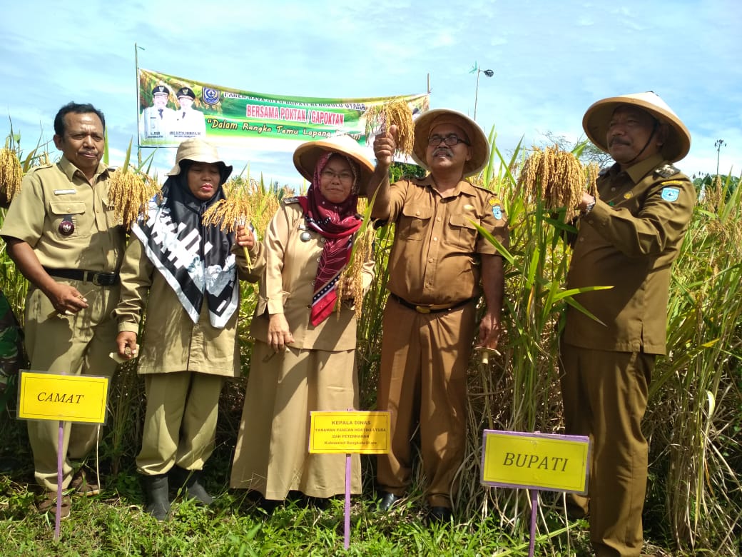 Dana Desa Bakal Dipotong, Stunting Jadi Syarat 