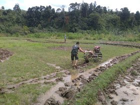 Babinsa Bantu Petani Bajak Sawah Dengan Traktor