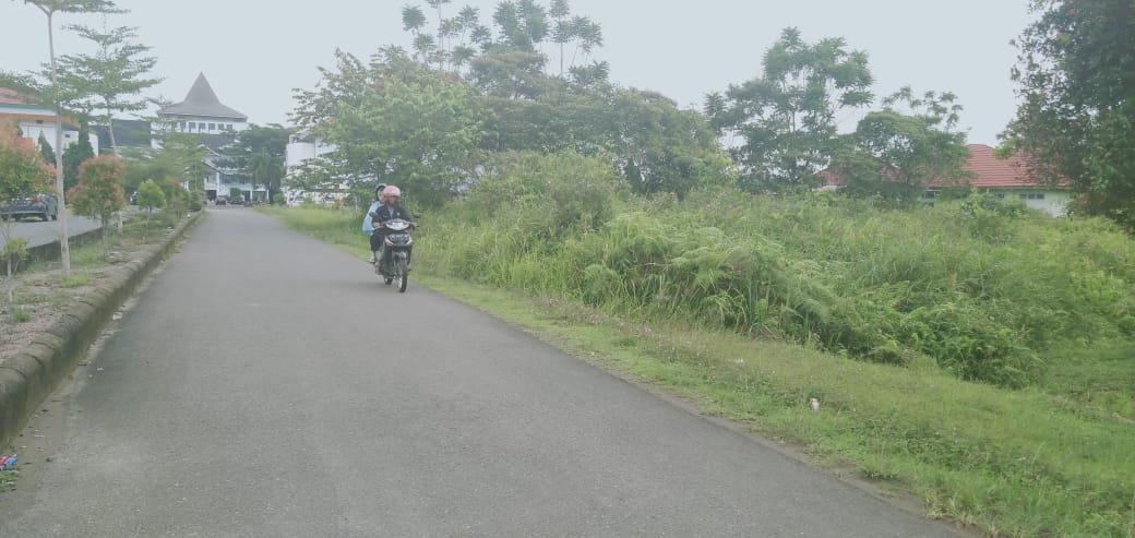 Miris, Komplek Perkantoran Jadi Sarang Babi