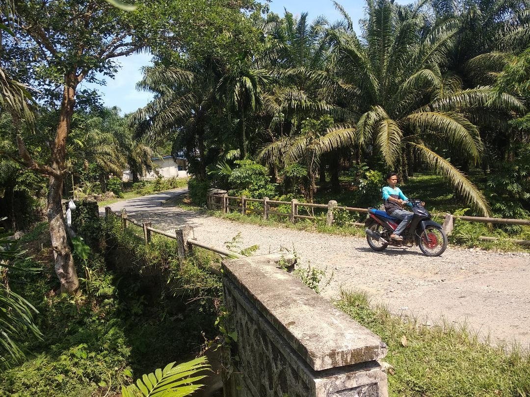 Usulan Tahunan, Nasib Jembatan Mumbang Tak Berubah