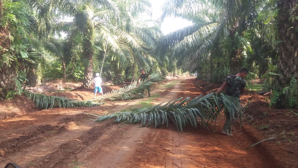 Jalan TMMD Mulai Digunakan Warga Angkut Hasil Panen