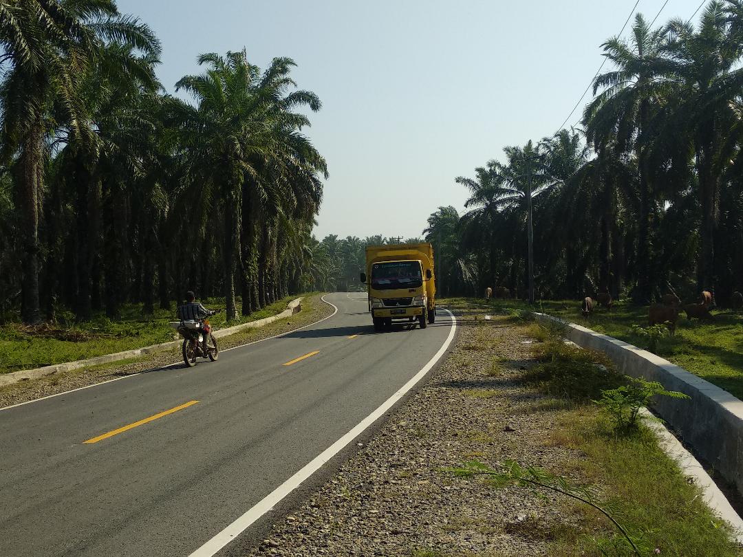 Pengelolaan Kebun Kas dari Agricinal Harus Clear