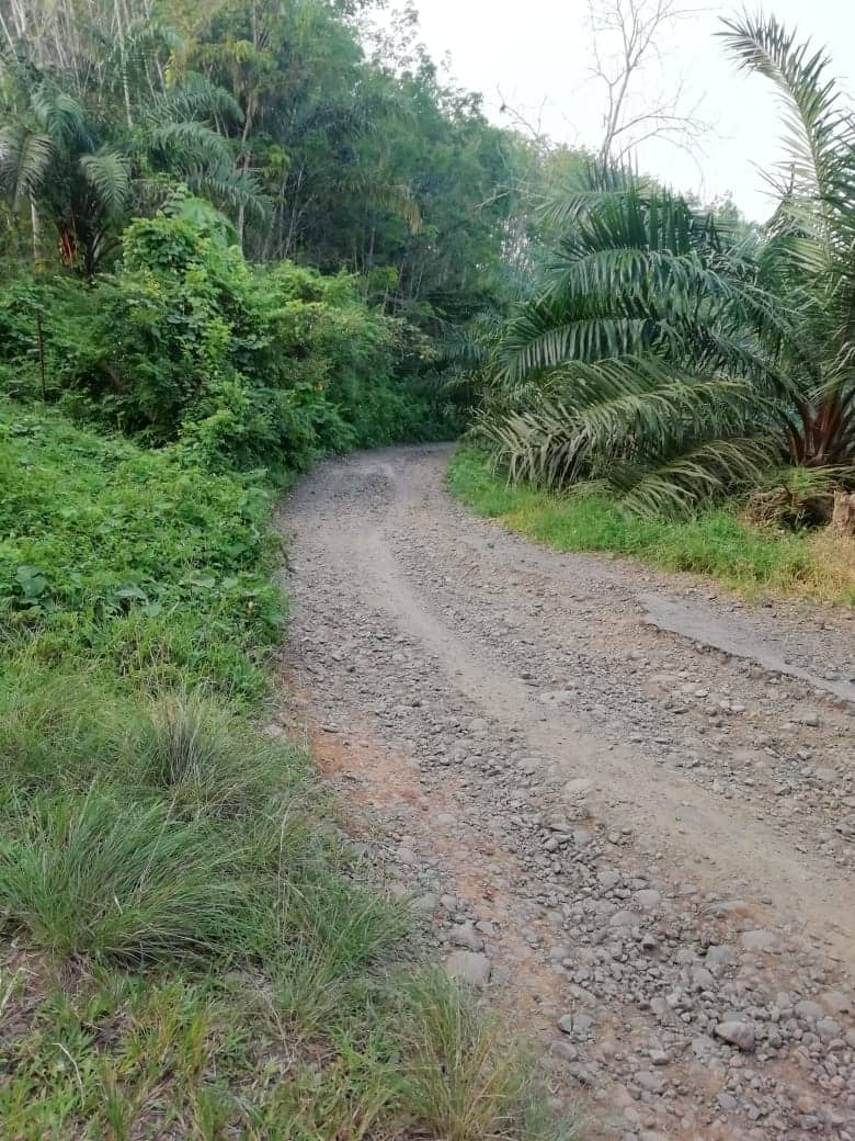 Jalan Manganyau Butuh Perhatian