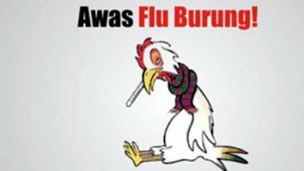 Kasus Flu Burung Belum Bertambah