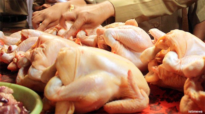 Harga Ayam Potong Merangkak Naik