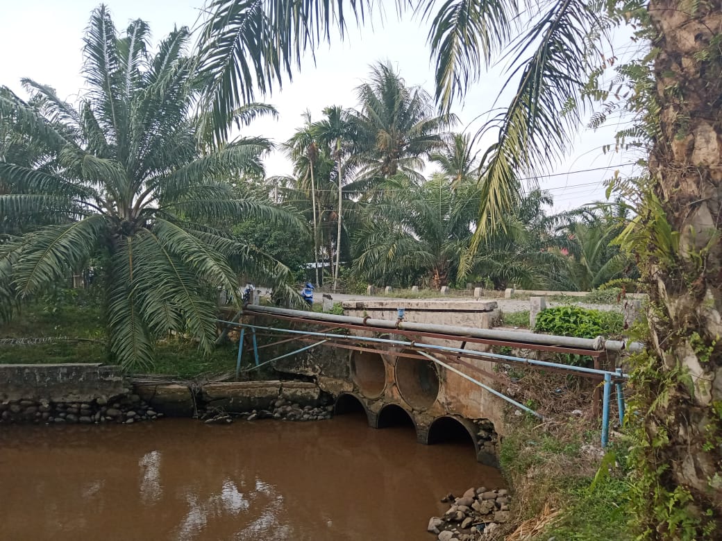 Jembatan Penghubung Antar Desa Rusak Parah